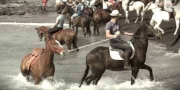 Horse Racing in Tenerife: A Surprising Tradition