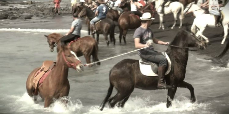 Horse Racing in Tenerife: A Surprising Tradition