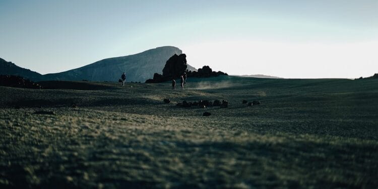 Family Fun in Tenerife: Activities for All Ages on the Island