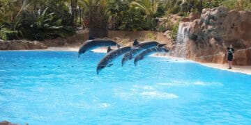 Tenerife Unveiled: Top Holiday Experiences You Can’t Miss