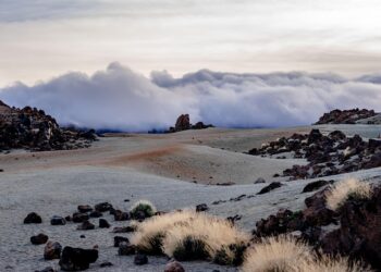 Why Tenerife is the Ideal Year Round Destination for Visitors