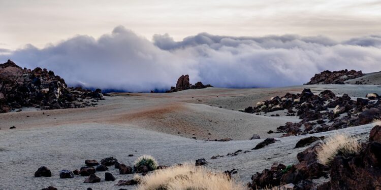 Why Tenerife is the Ideal Year Round Destination for Visitors