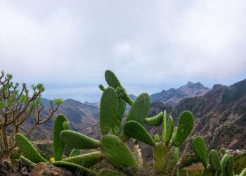 Conquering Teide: A Hiker’s Guide to Tenerife’s Majestic Volcano