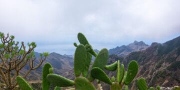 Conquering Teide: A Hiker’s Guide to Tenerife’s Majestic Volcano