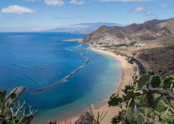 Whale Wonders: The Ultimate Guide to Watching Giants off Tenerife
