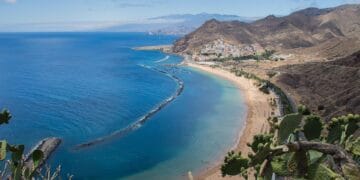 Whale Wonders: The Ultimate Guide to Watching Giants off Tenerife