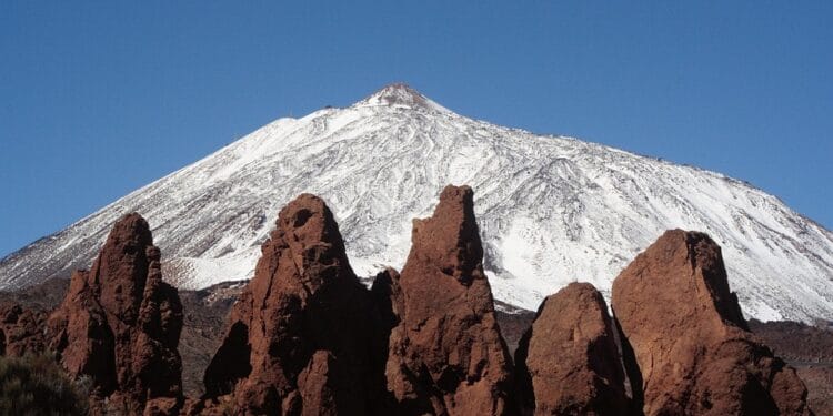 Discover the Magic of Dolphin Watching: Tenerife’s Ocean Wonders