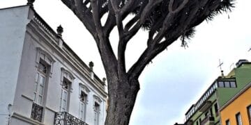 A Tranquil Escape: The Allure of Costa del Silencio, Tenerife