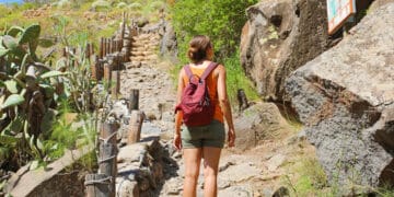 Why Everyone’s Obsessed With These 7 Brilliant Hobbies in Tenerife (And You Will Be Too)
