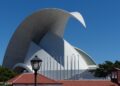 Tenerife’s Ocean Giants: Unforgettable Whale Watching Experiences