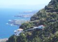 Dolphin Encounters in Tenerife: A Journey Through the Waves