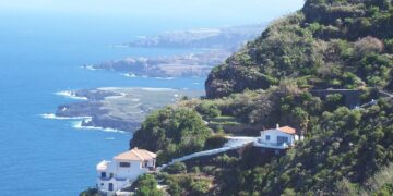 Dolphin Encounters in Tenerife: A Journey Through the Waves